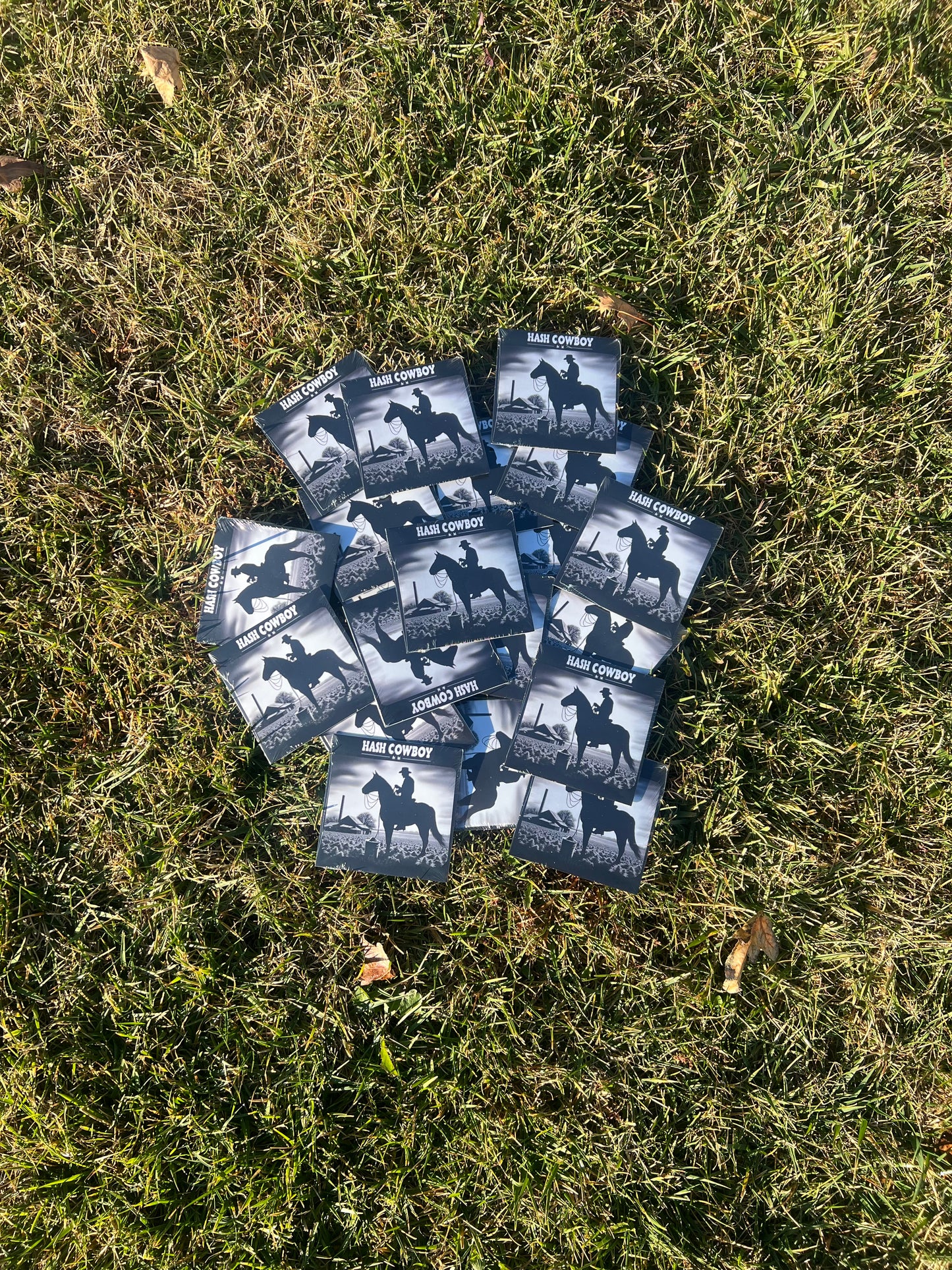 Hash Cowboy Demo Disc