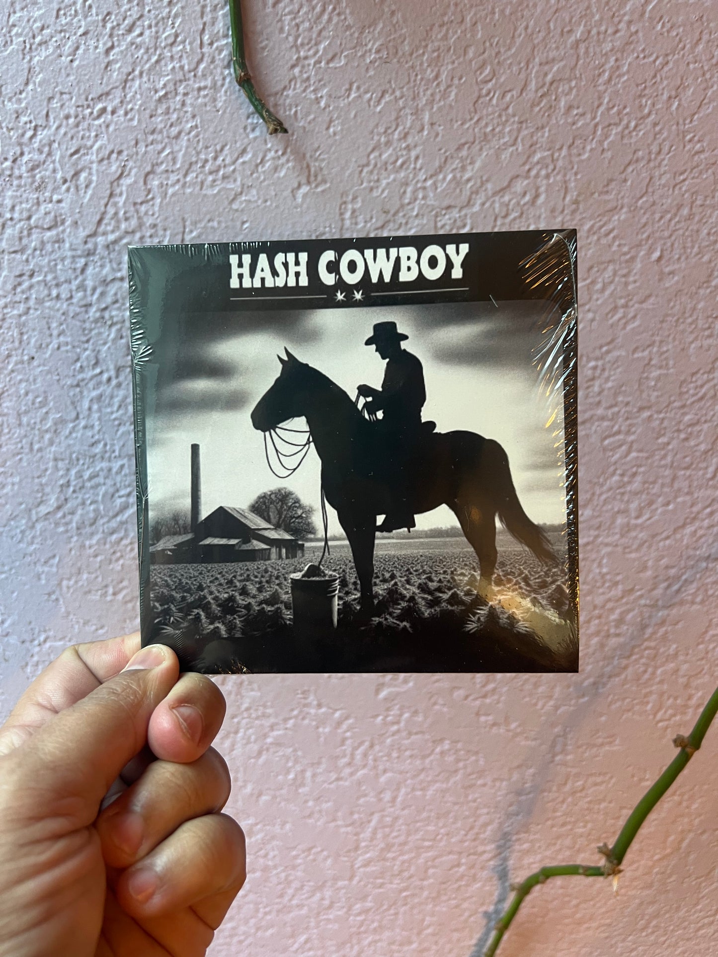 Hash Cowboy Demo Disc