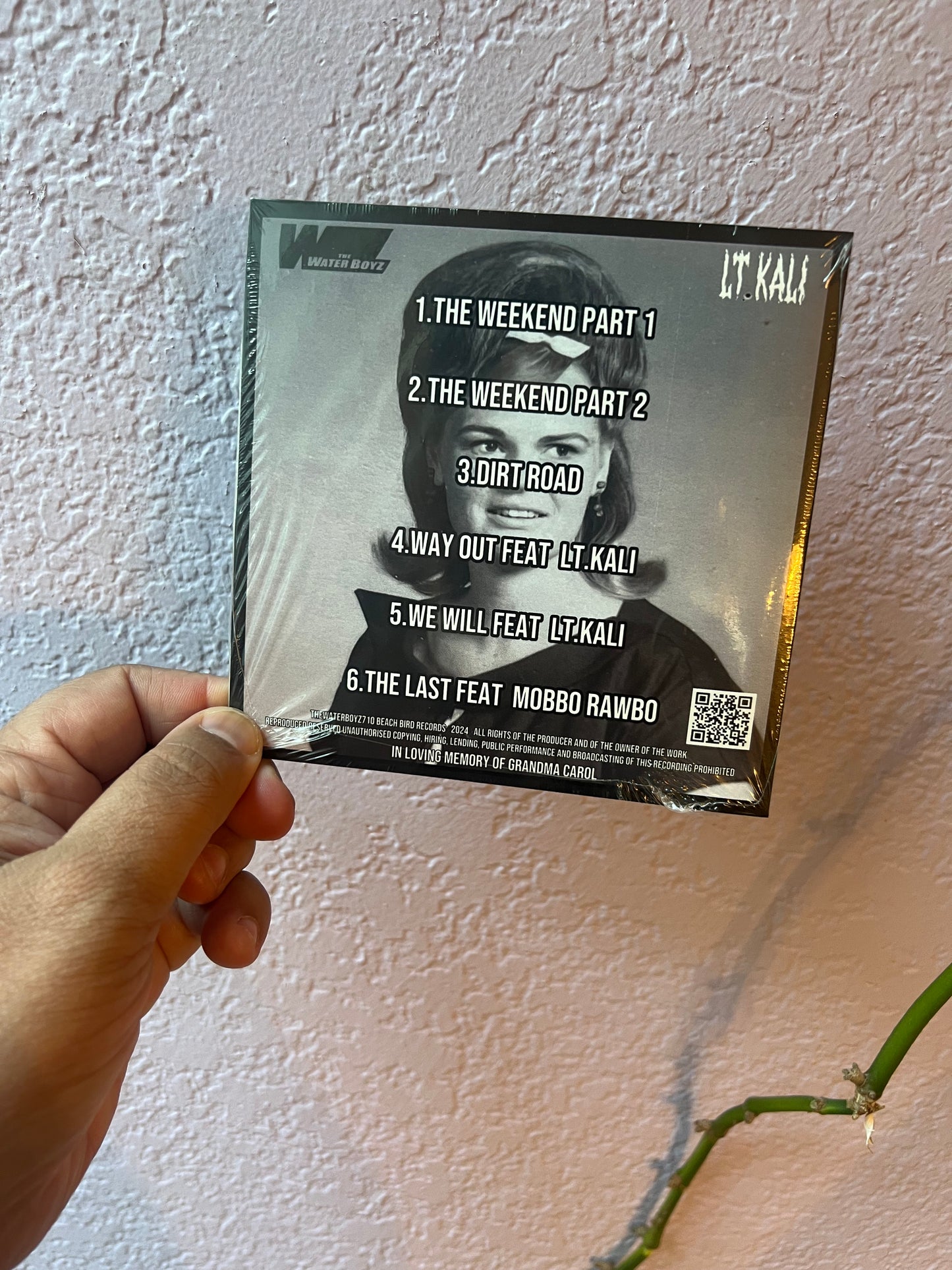 Hash Cowboy Demo Disc